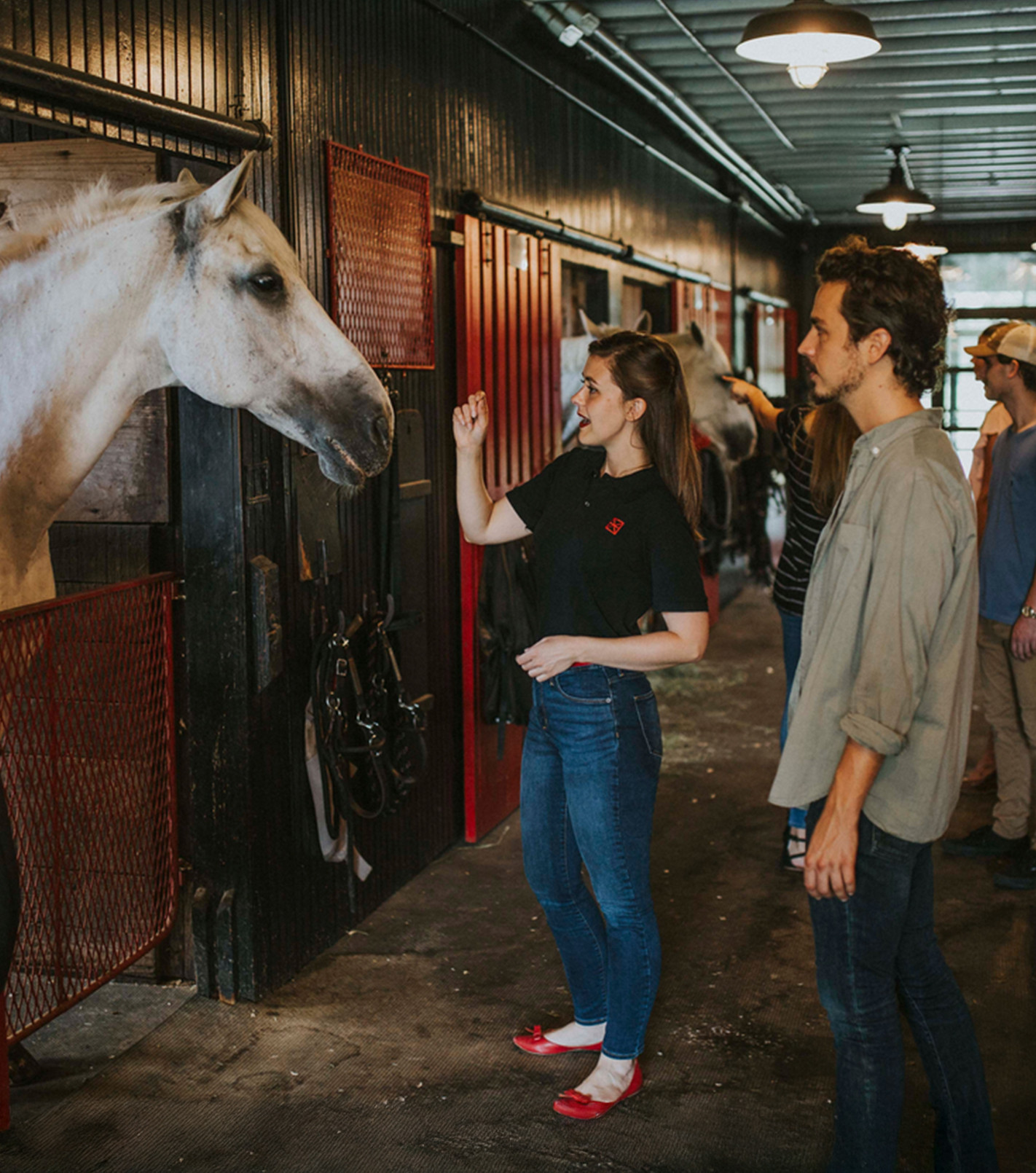 hermitage farm employee showing visitors horses in the barn