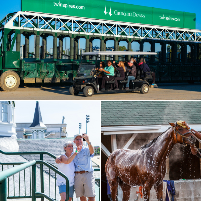 Guests riding golf cart around track, taking photos by the Twin Spires, and a horse getting a bath