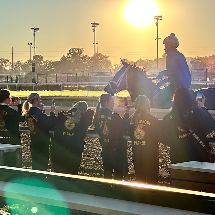 FFA group of student standing at the tail watching Thoroughbred workout on track