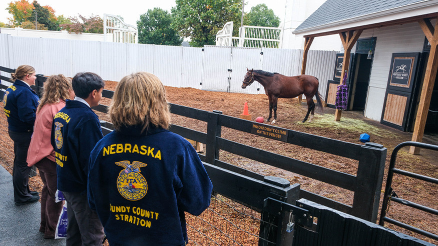 FFA group visiting resident Thoroughbred in the KDM Stable