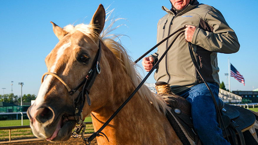 a horse and it's rider on the dirt track