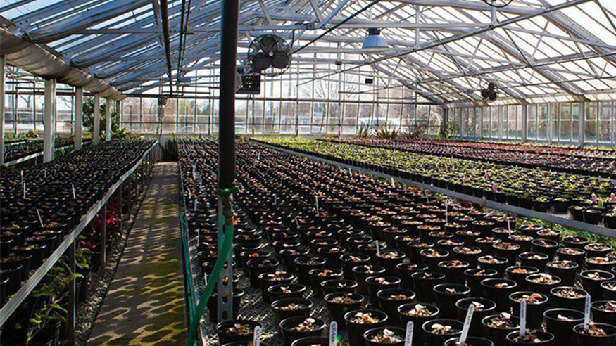 inside of the greenhouse