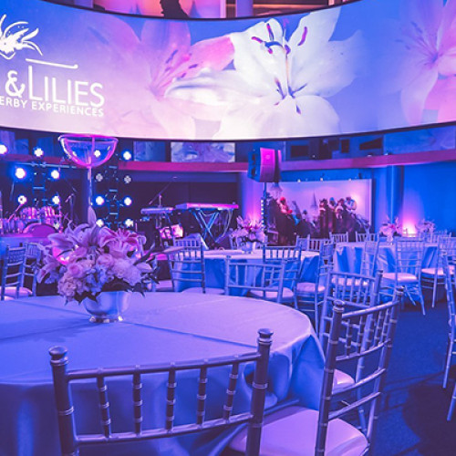 fillies and lilies event in the great hall with purple lighting
