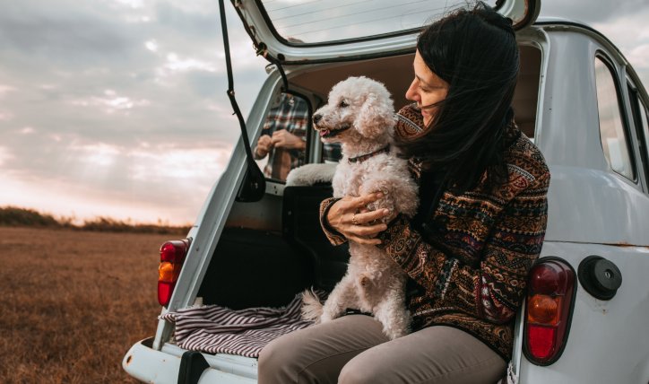¿Cómo se debe transportar un perro en el auto?