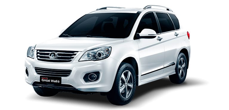 T407237 great wall