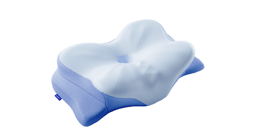 Derila 1 Pillow