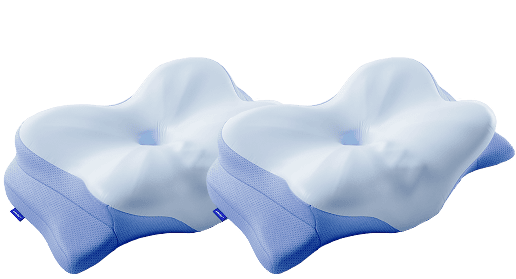 Derila 2 Pillows