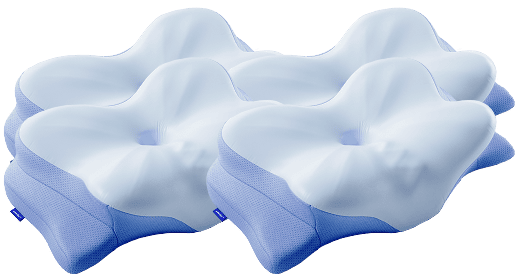 Derila 4 Pillows