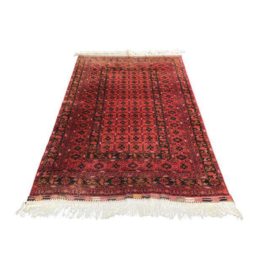 Persian Rug - 4′10″ × 8′3″