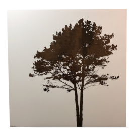 Walnut Tree Art, by Andy Anh Ha. Original Price: $900