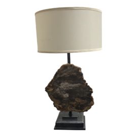 Petrified Wood & Iron Table Lamp