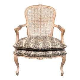 Rafael Homes Cheetah Upholstered Rattan Bergere Chair
