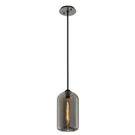 NEW Troy Lighting District Smoke Glass Light Hanging Pendant