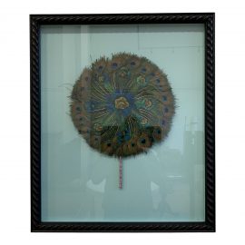 Custom Vintage Peacock Fan Shadow Box Framed