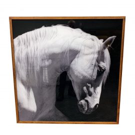 Custom Framed Black + White Horse Photo in Walnut Frame