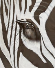 絵画 Zebrappy Andy Warhol Grevy's Zebra (F. & S. II.300) (Signed Print