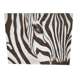 Z Gallerie Zebra Printed Canvas