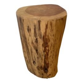 West Elm Natural Tree Stump Side Table