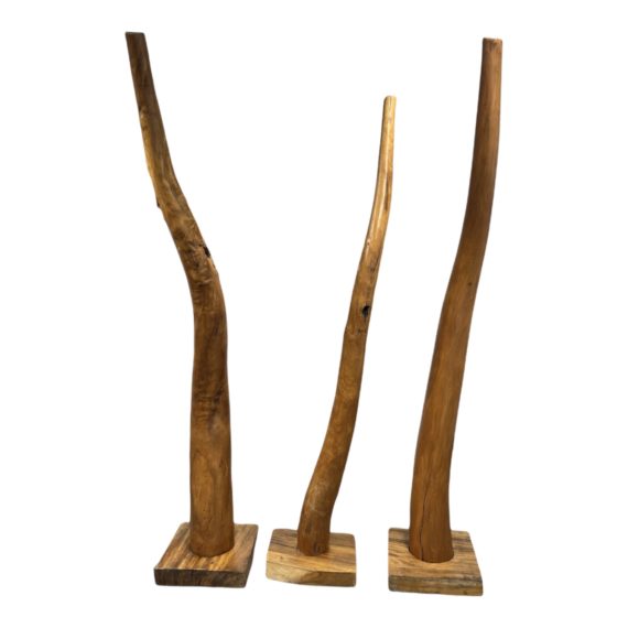 PhotoRoom_20211203_170227