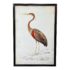 timothy-oulton-black-weathered-oak-framed-artline-nature-heron-9724