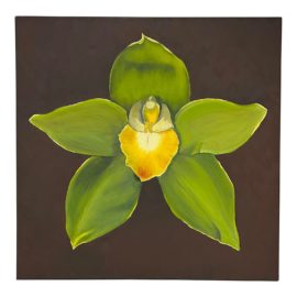 Original Artwork Green Orchid Blossom Acrylic Painting