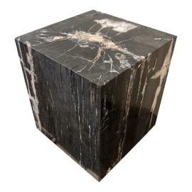 Hudson Furniture & Lighting Petrified Wood Side Table