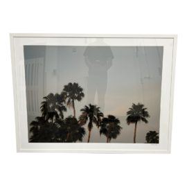 Carol Crohan Palm Tree Framed Print