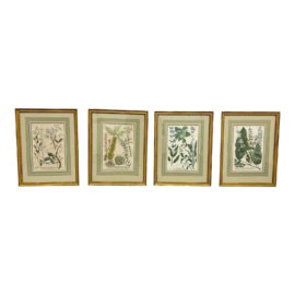 Antique Framed Botanical Prints, Set of Four. Original Price: $2,000