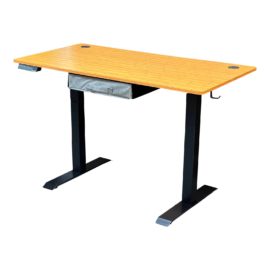 Fezibo Electric Adjustable Desk