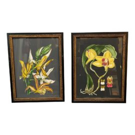 Melissa Van Hise Orchid Prints, a Pair