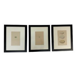 Wysteria Framed Eggs Triptych, Set of Three