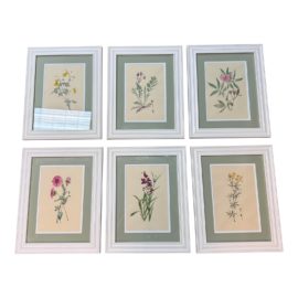 Fresh Botanical Watercolor Drawing Original Artwork, Set of Six
