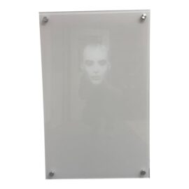NEW DWM Maloos Custom Made Face in Lucite. Original Price: $1,250