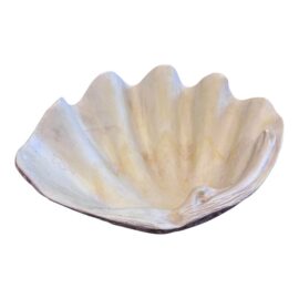 Bliss Studio Fossilized Faux Clam Decorative Object. Original Price: $450