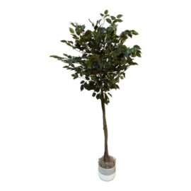 Artificial Ficus Tree