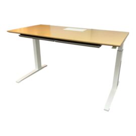 Flexispot Bamboo Adjustable Standing Desk