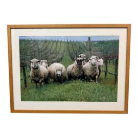 Terence Ford "Carneros Sheep" Framed Artist Proof