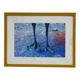Circa 2007 PJK Framed "Ostrich" Feet Colorized Photo, Signed + Numbered