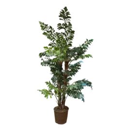 Decorative Faux Fish Tail Palm Tree