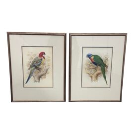 Richard Hurst Study of Parrots Etchings, Set of Two