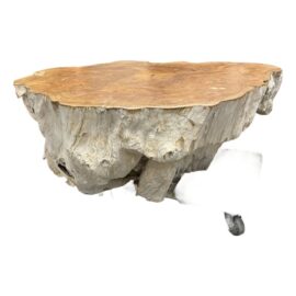 Clubcu-Workshop for Cohab Space Teak Tree Trunk Coffee Table. Original Price: $4,300