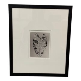 Circa 1992 Stefano Massei's "Jamaica" Leaf, Print