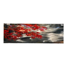 Peter Lik "River of Zen" Photographic Acrylic Mount. Original Price: $9,800