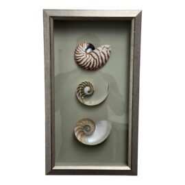 KMP Design Nautilus Shell Textile Artwork, Framed
