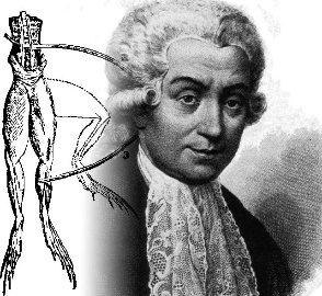 A person posing for the camera

Description automatically generated