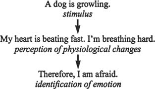 Early Theories Of Emotion