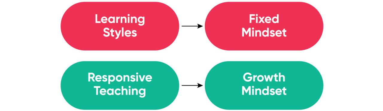 Learning Styles Debunked 3
