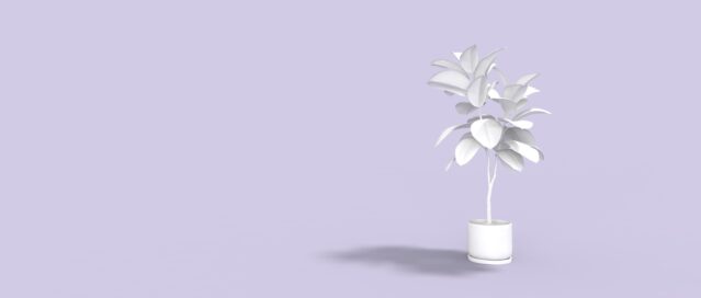 Plant in a pot graphic