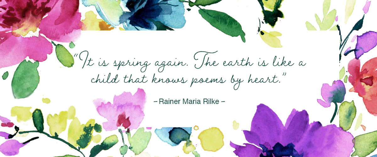 Spring catalog email banner (1)