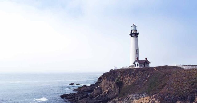 Fellows blog 6 12